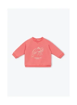 Arsene et les pipelettes Sweat Bébé Crevette Club ROUGE30 Online